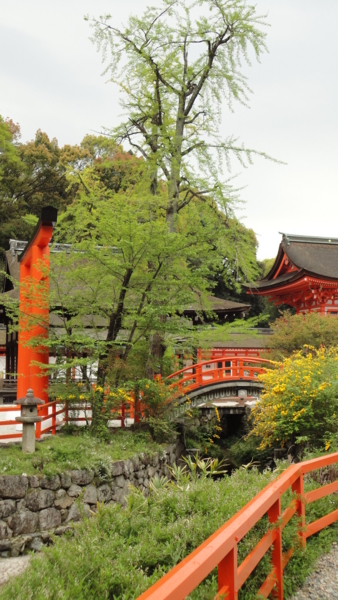 [京都][下賀茂神社]