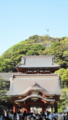 [201205 鎌倉][寺社巡り同好会][鶴岡八幡宮]