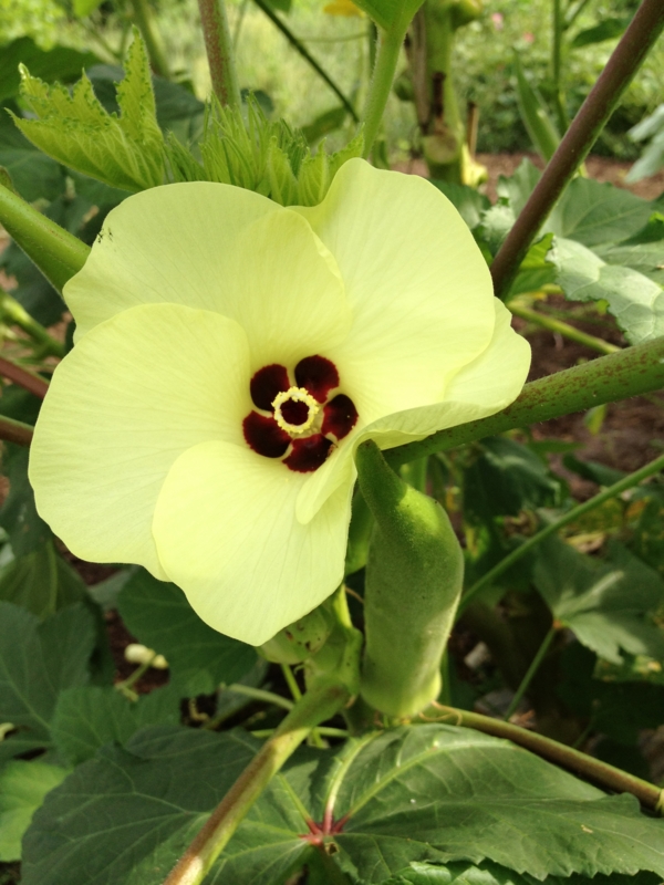 f:id:babooshuca:20120910082542j:image:w360