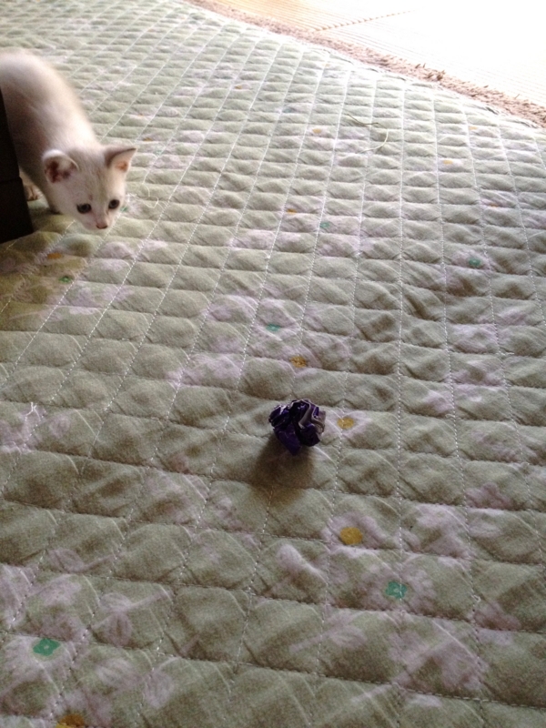 f:id:babooshuca:20120914095656j:image:w360