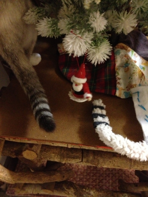 f:id:babooshuca:20121204184136j:image:w360