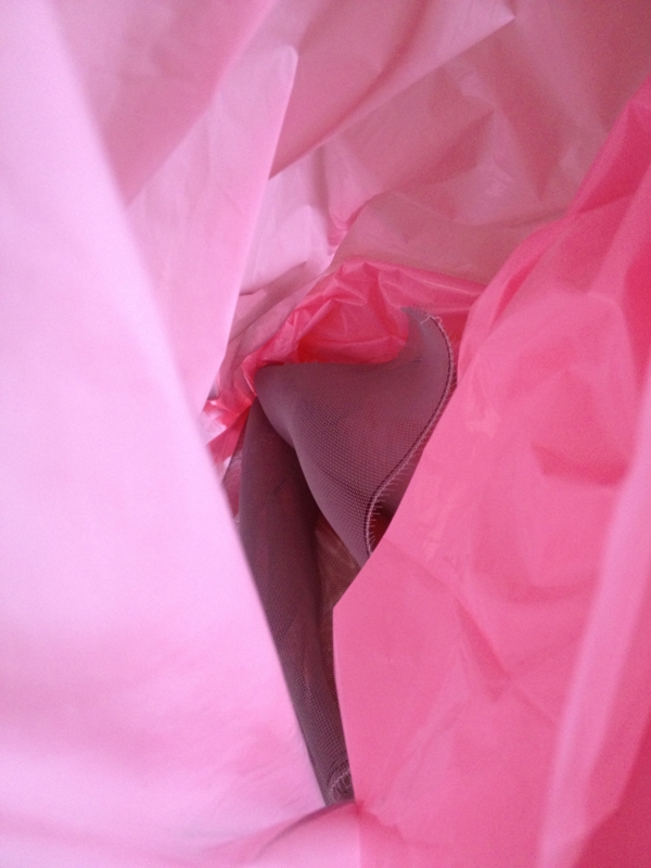 f:id:babooshuca:20121218093443j:image:w360