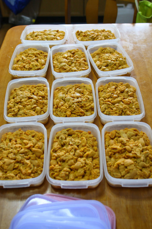 f:id:babu_babu_baboo:20100724142551j:image f:id:babu_babu_baboo:20100724142551j:image