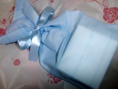 f:id:babupeikko:20170218103412j:plain