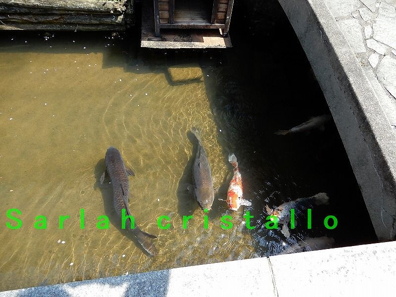 f:id:babupeikko:20180409163200j:plain