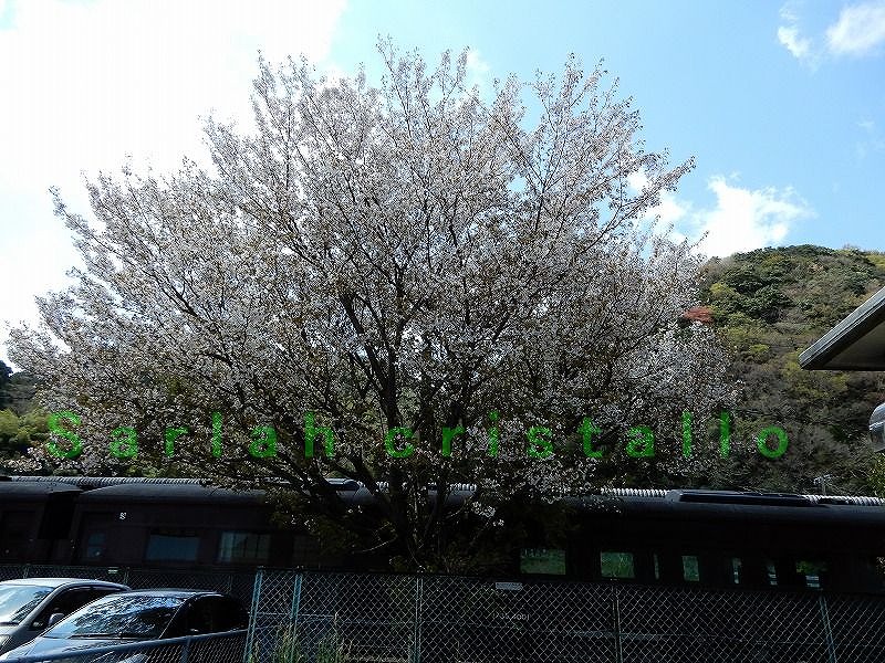f:id:babupeikko:20180409165328j:plain f:id:babupeikko:20180409165328j:plain