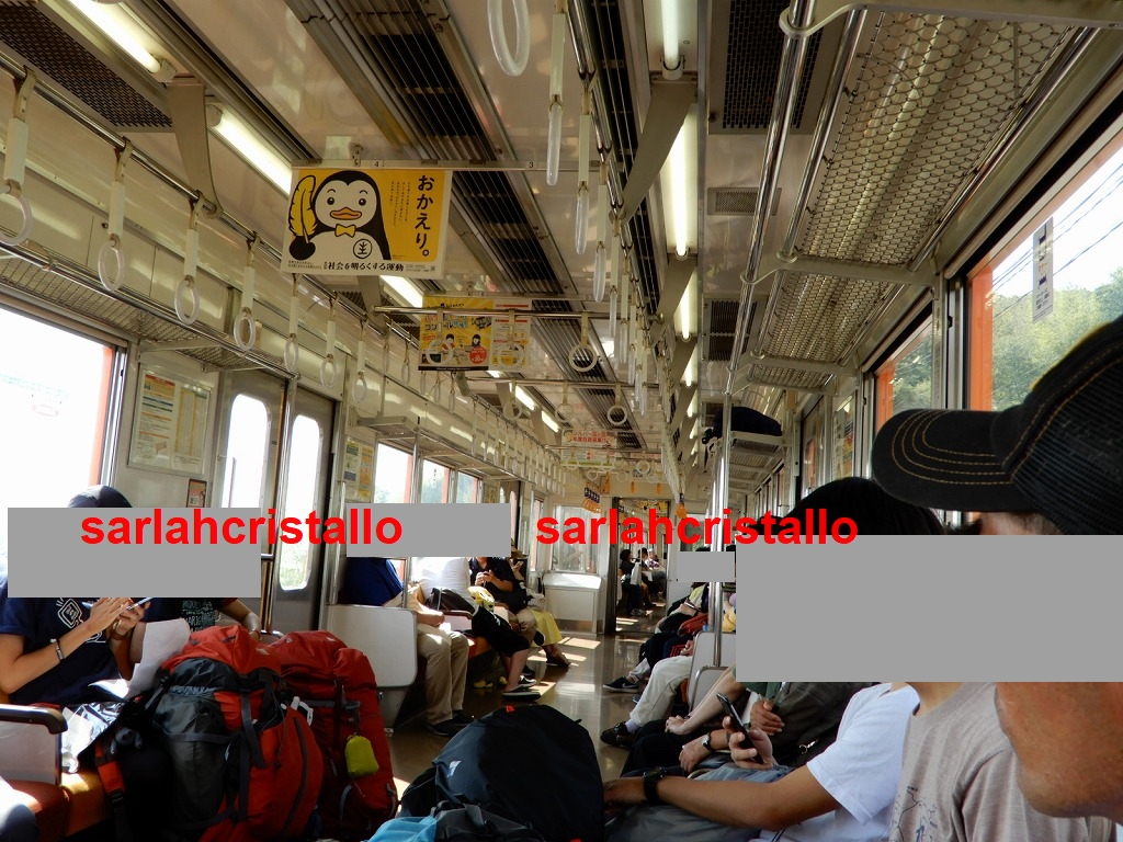 f:id:babupeikko:20180625165126j:plain