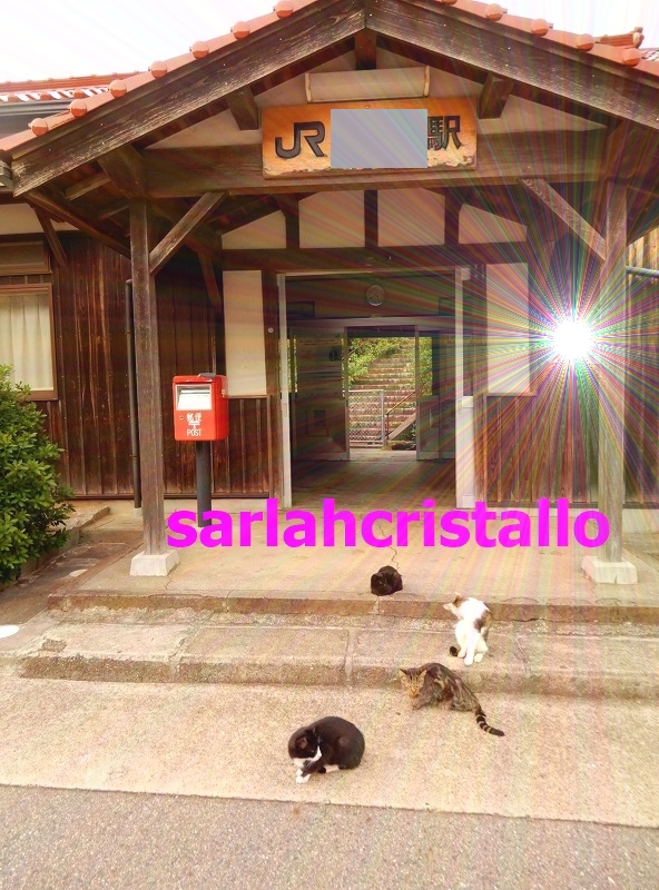 f:id:babupeikko:20181016104620j:plain