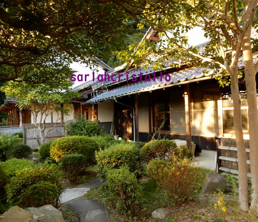 f:id:babupeikko:20181105085659j:plain