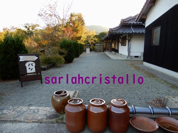 f:id:babupeikko:20181105085841j:plain