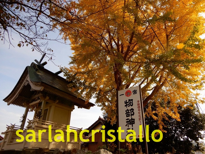 f:id:babupeikko:20181113200438j:plain f:id:babupeikko:20181113200438j:plain