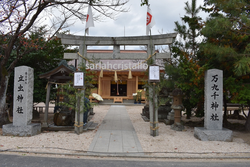 f:id:babupeikko:20181126003106j:plain f:id:babupeikko:20181126003106j:plain