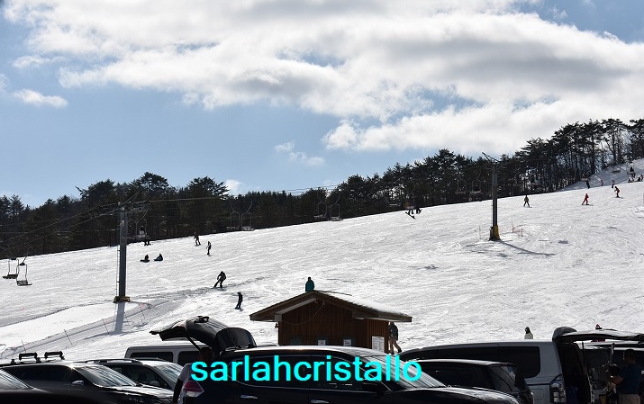 f:id:babupeikko:20190128203546j:plain