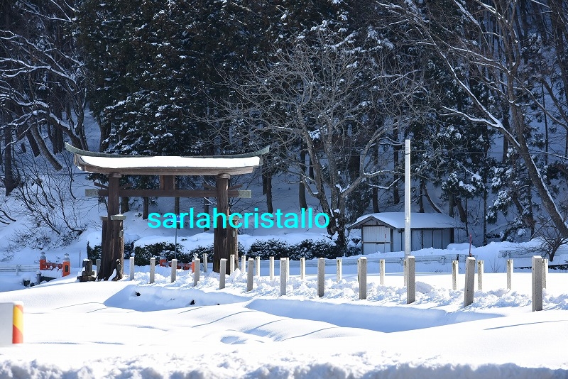 f:id:babupeikko:20190128204339j:plain