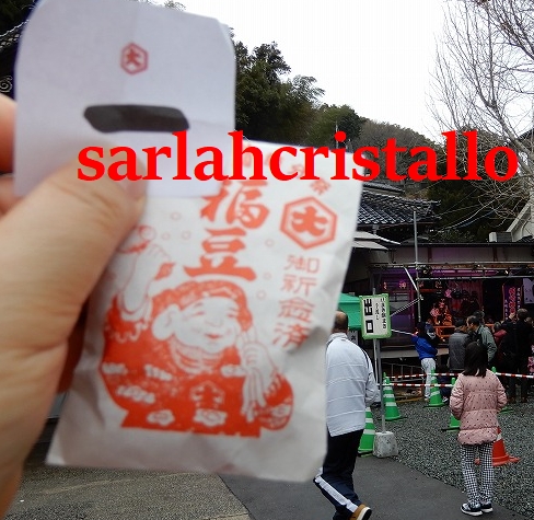 f:id:babupeikko:20190203150149j:plain