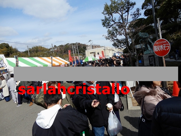 f:id:babupeikko:20190211194950j:plain