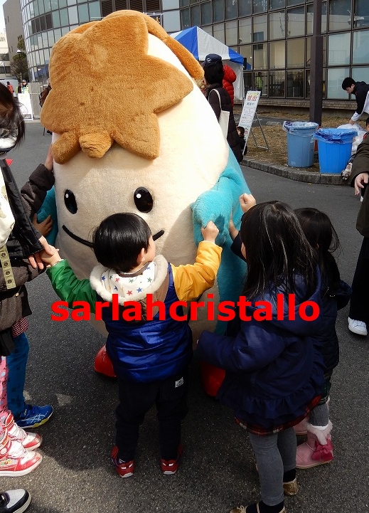 f:id:babupeikko:20190211195319j:plain