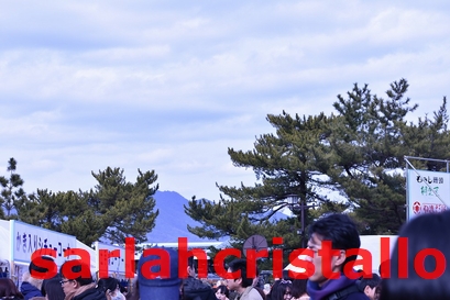 f:id:babupeikko:20190211200938j:plain