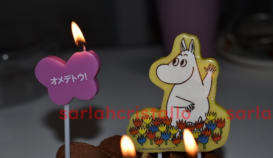f:id:babupeikko:20190219234745j:plain