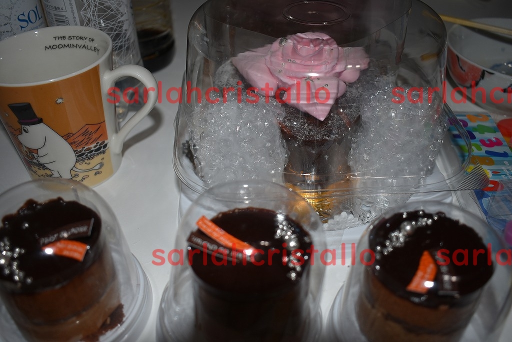 f:id:babupeikko:20190219235059j:plain