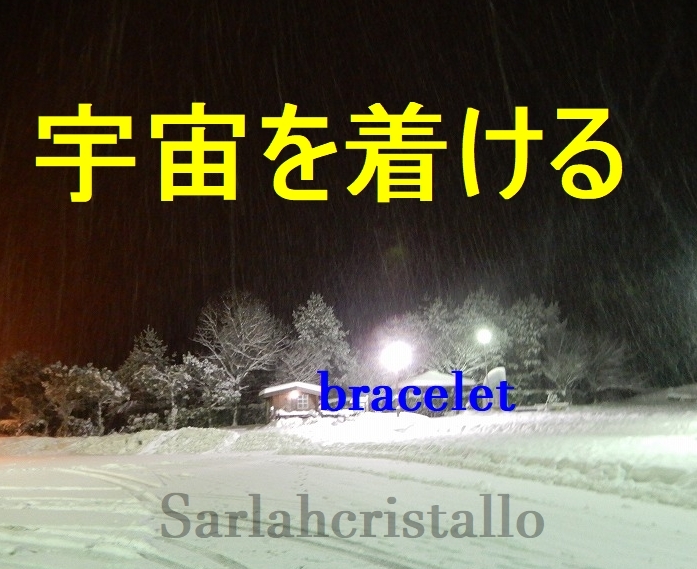 f:id:babupeikko:20190223211730j:plain