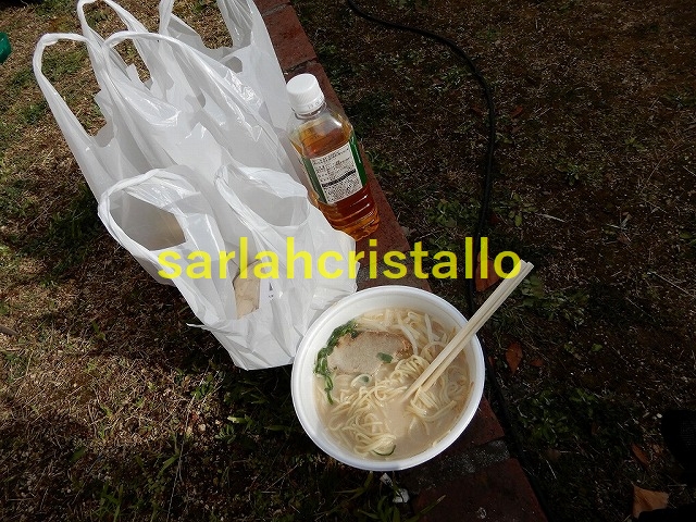 f:id:babupeikko:20190225100256j:plain