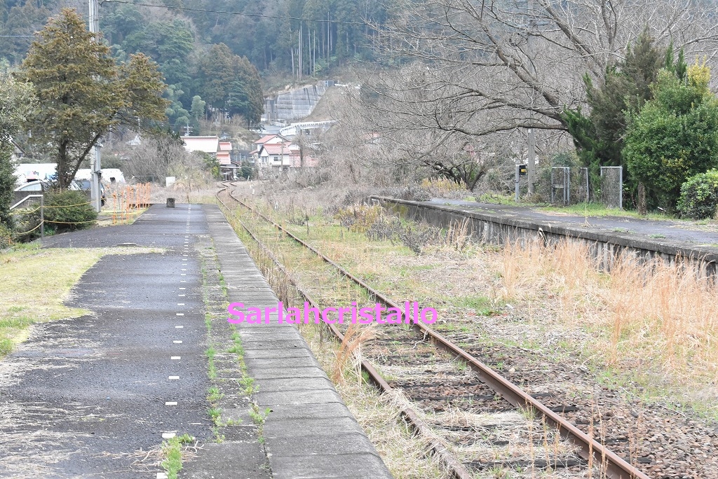 f:id:babupeikko:20190303230703j:plain