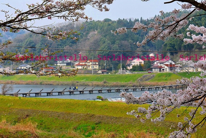 f:id:babupeikko:20190407204744j:plain