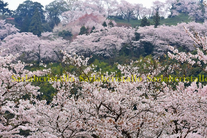 f:id:babupeikko:20190410025058j:plain