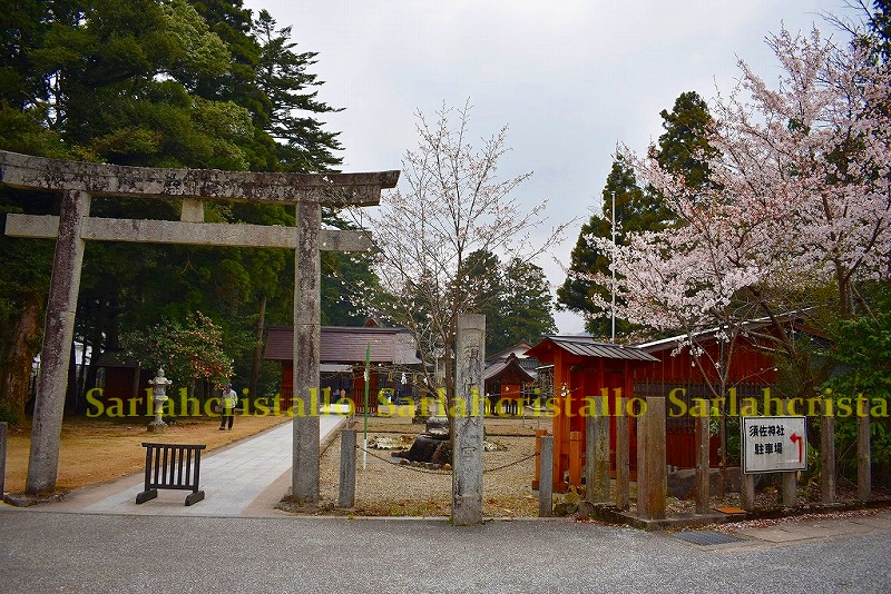 f:id:babupeikko:20190410025136j:plain