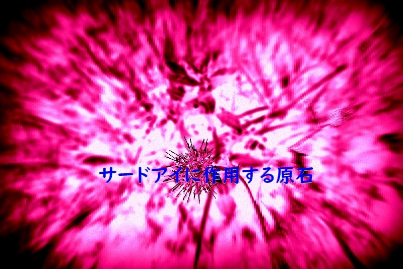f:id:babupeikko:20190622165322j:plain f:id:babupeikko:20190622165322j:plain