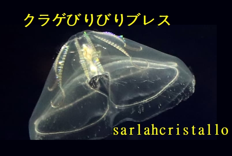 f:id:babupeikko:20190919194815j:plain f:id:babupeikko:20190919194815j:plain
