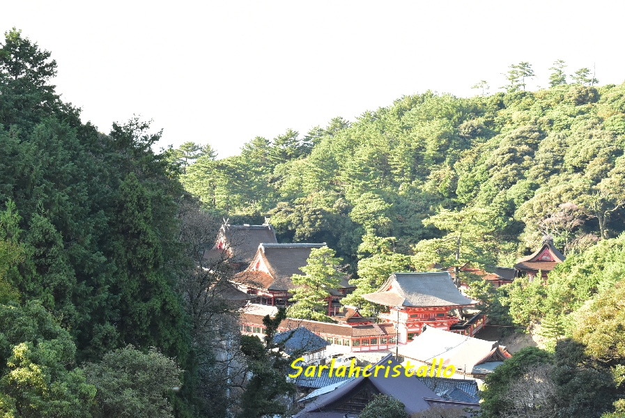 f:id:babupeikko:20191107003959j:plain