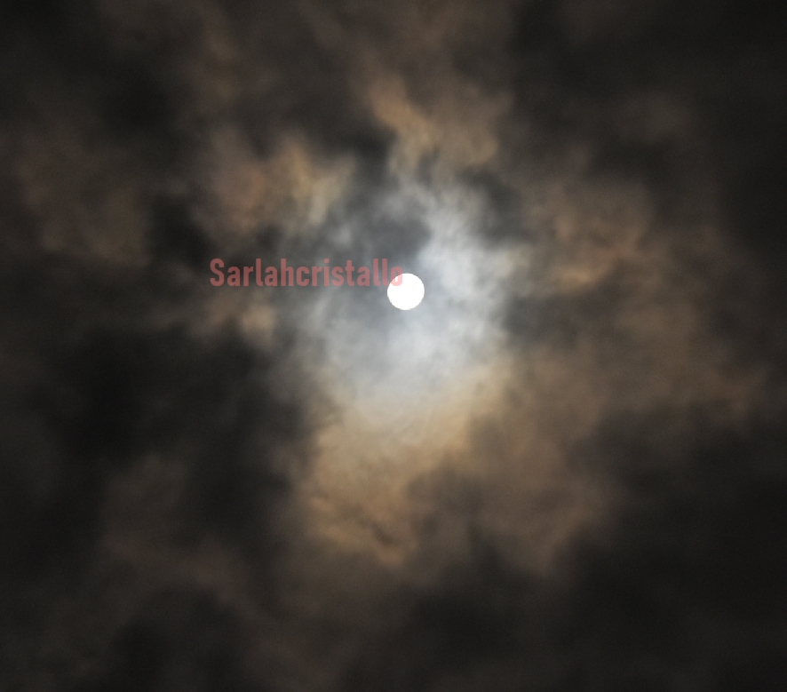 f:id:babupeikko:20191212225627j:plain