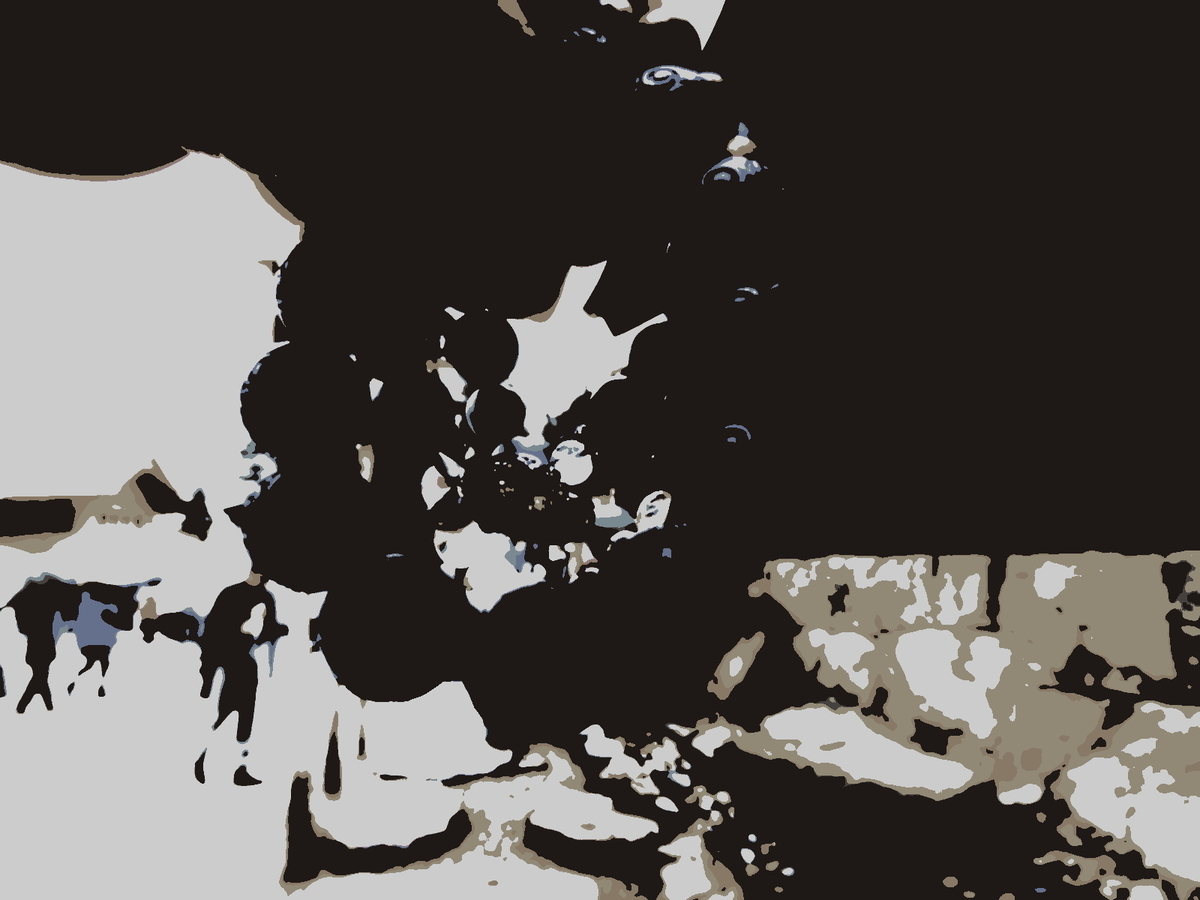 f:id:babupeikko:20200112233643j:plain