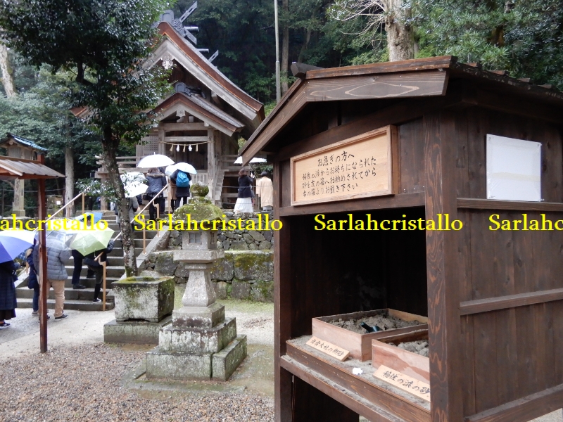 f:id:babupeikko:20200112233743j:plain