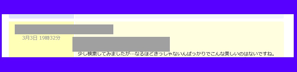 f:id:babupeikko:20200308221138j:plain