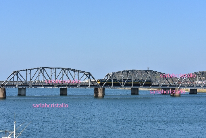 f:id:babupeikko:20200408202003j:plain