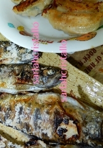 f:id:babupeikko:20200408210425j:plain