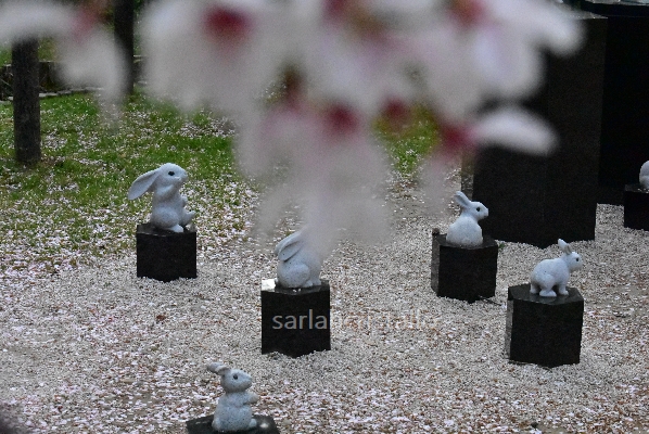 f:id:babupeikko:20200412014513j:plain f:id:babupeikko:20200412014513j:plain