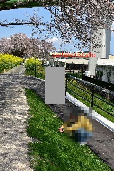 f:id:babupeikko:20200412202018j:plain