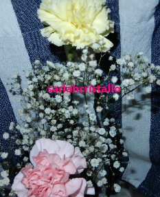 f:id:babupeikko:20200512001246j:plain