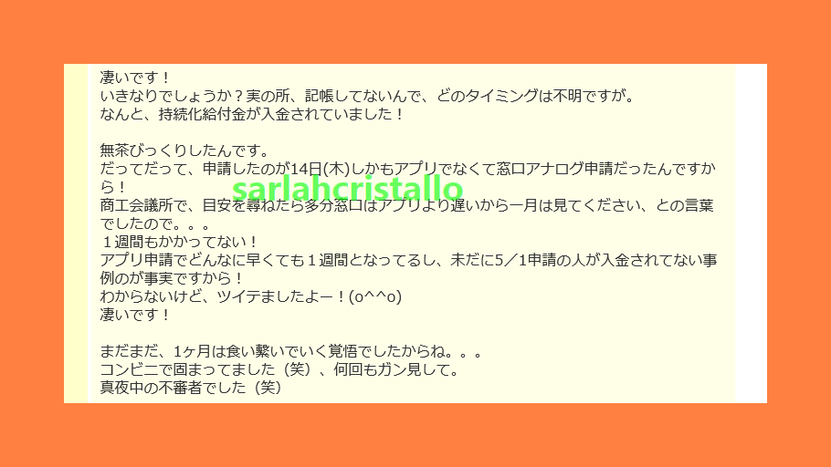 f:id:babupeikko:20200521174236j:plain