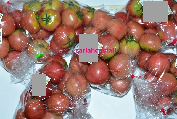 f:id:babupeikko:20200709195731j:plain