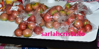 f:id:babupeikko:20200709195752j:plain