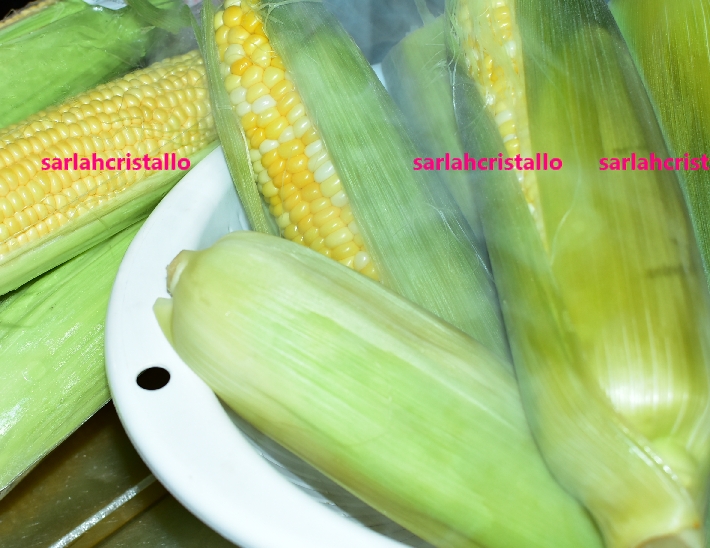 f:id:babupeikko:20200709200146j:plain