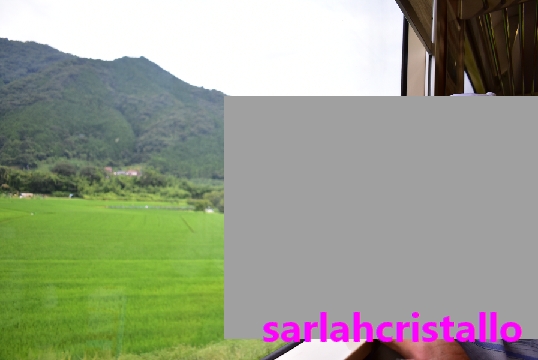 f:id:babupeikko:20200803093304j:plain f:id:babupeikko:20200803093304j:plain