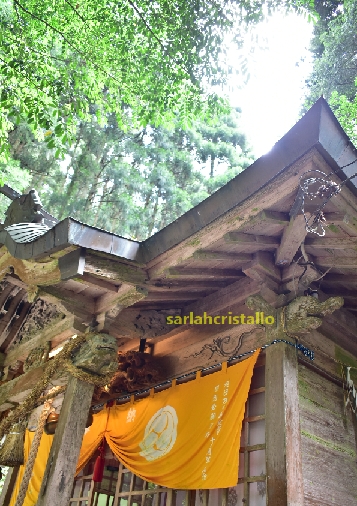 f:id:babupeikko:20200815232111j:plain