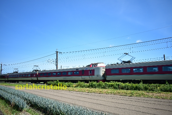 f:id:babupeikko:20200816010343j:plain