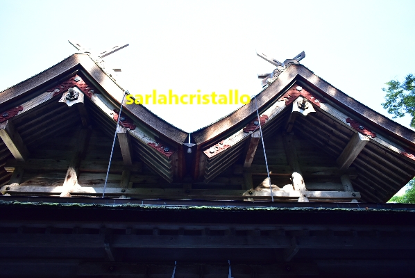f:id:babupeikko:20200816104950j:plain